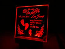 Beispielfoto eines Hundes als Vorlage